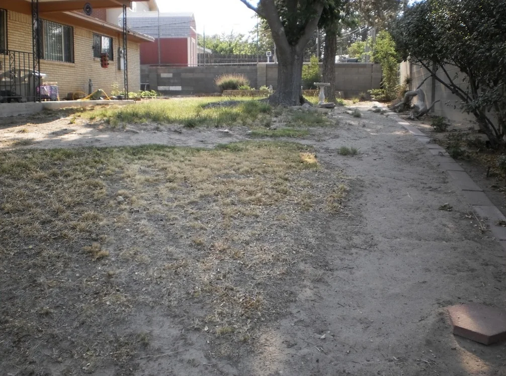 Albuquerque backyard before — bare dirt and dead grass