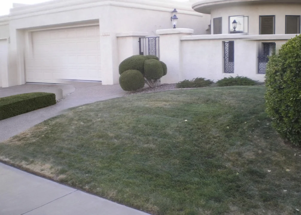 Lawn maintenance division