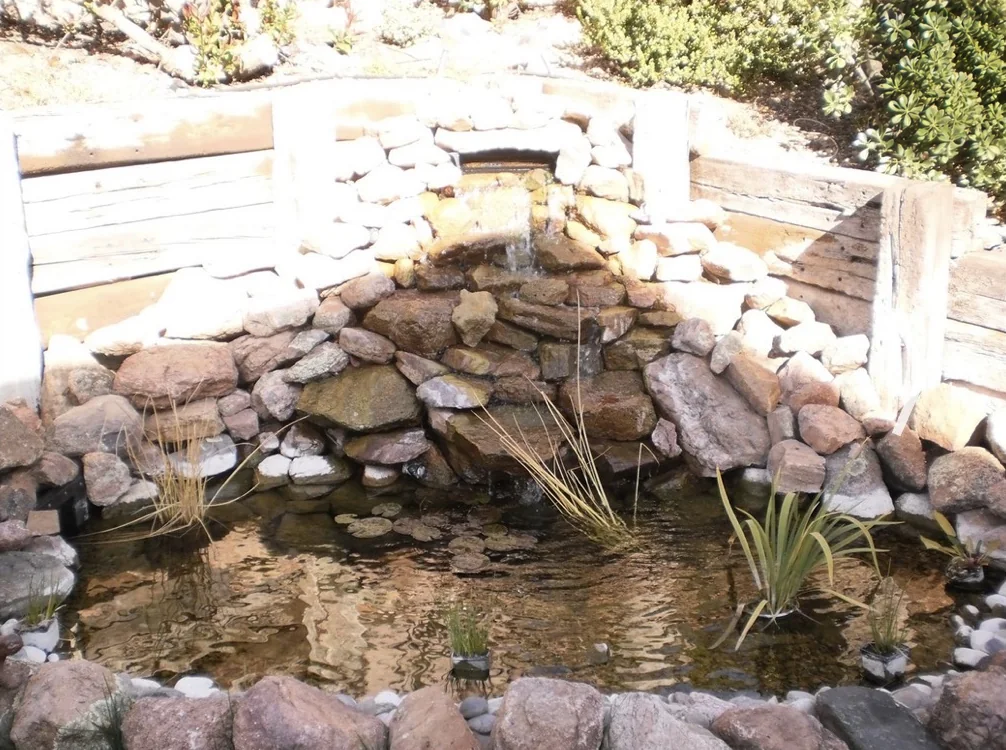 Natural stone pond and waterfall with aquatic plants